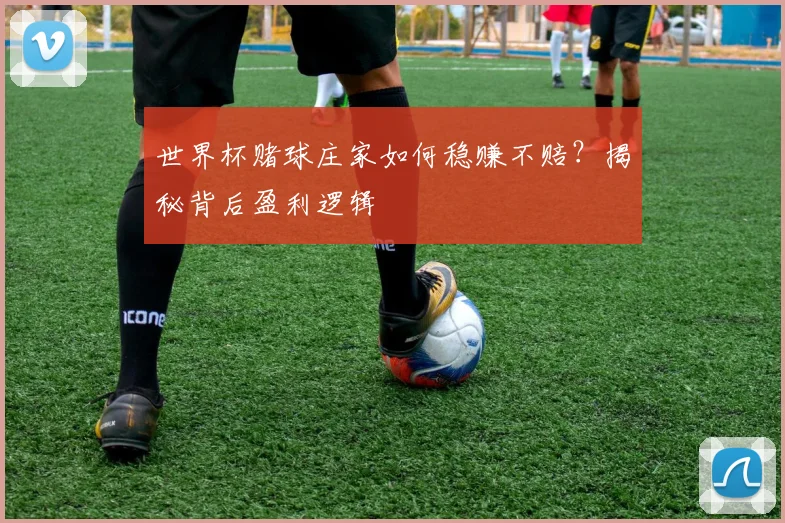 世界杯赌球庄家如何稳赚不赔？揭秘背后盈利逻辑