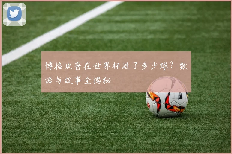 博格坎普在世界杯进了多少球？数据与故事全揭秘