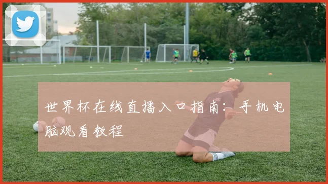 世界杯在线直播入口指南：手机电脑观看教程