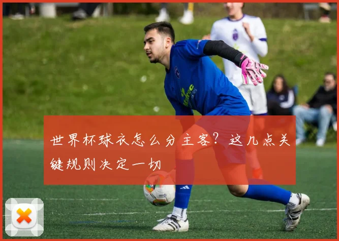 世界杯球衣怎么分主客？这几点关键规则决定一切