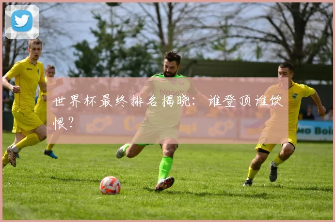 世界杯最终排名揭晓:谁登顶谁饮恨?
