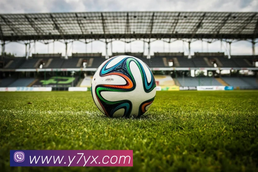 米兰app入口发展历程